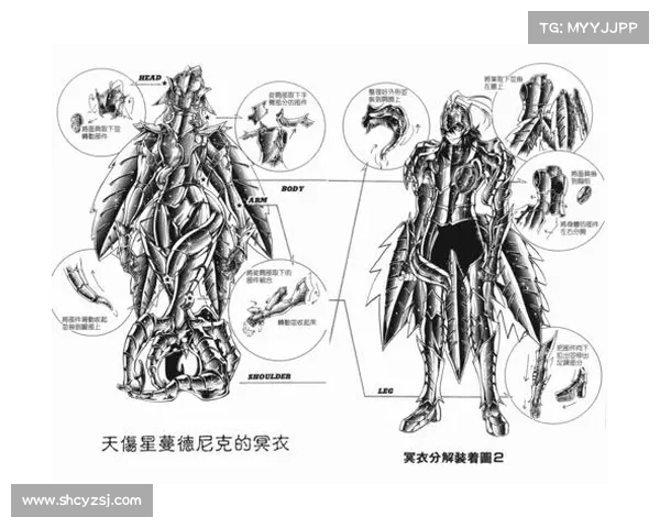 安装圣斗士冥王神话时常见问题及解决方法解析 安装圣斗士冥王神话时常见问题及解决方法解析